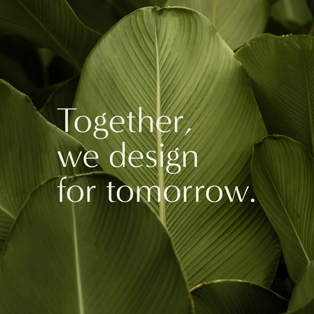 P Landscape proposition | P Landscape | Linassi+Co