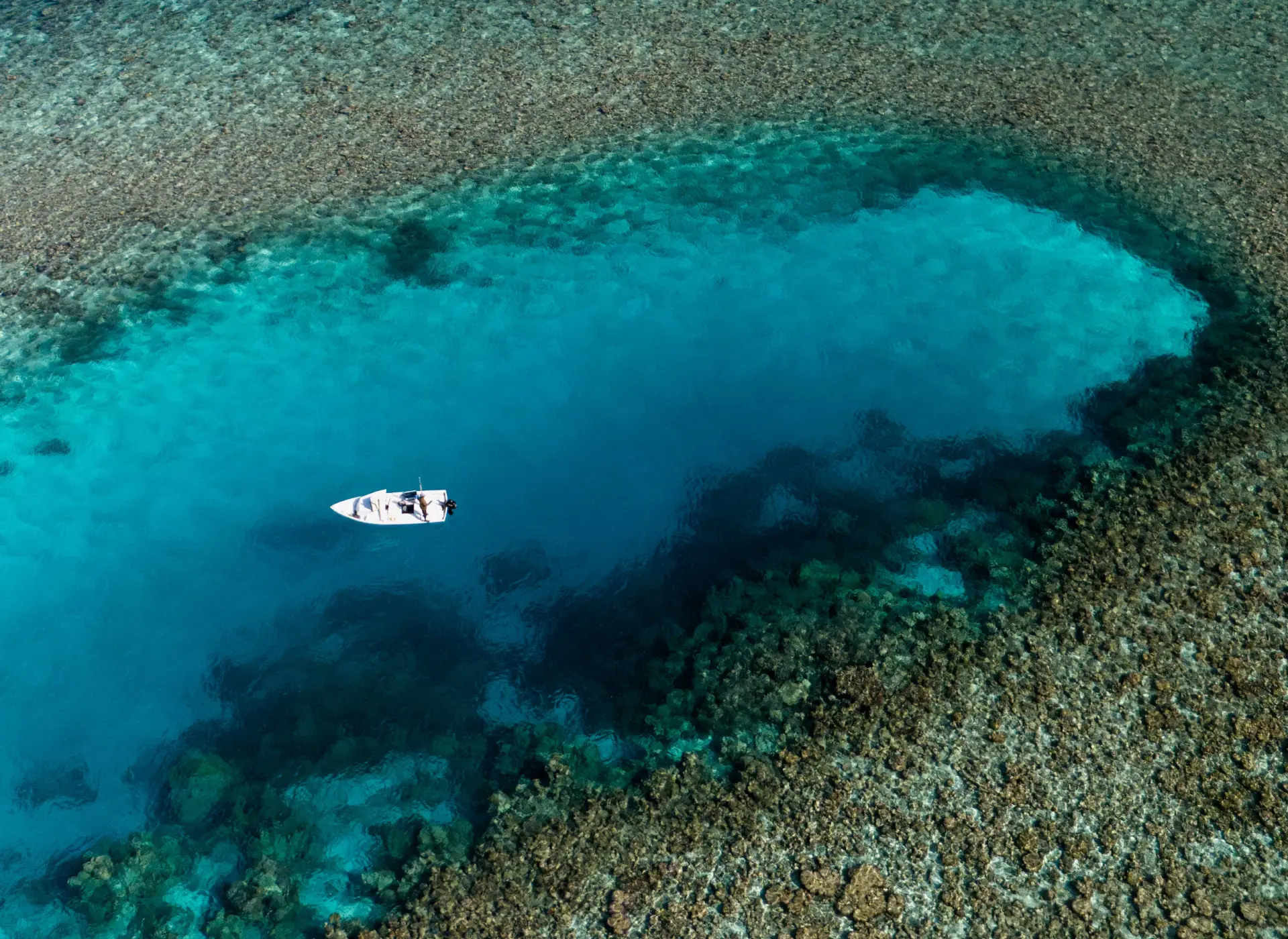 Header Image | Essendi | Linassi+Co