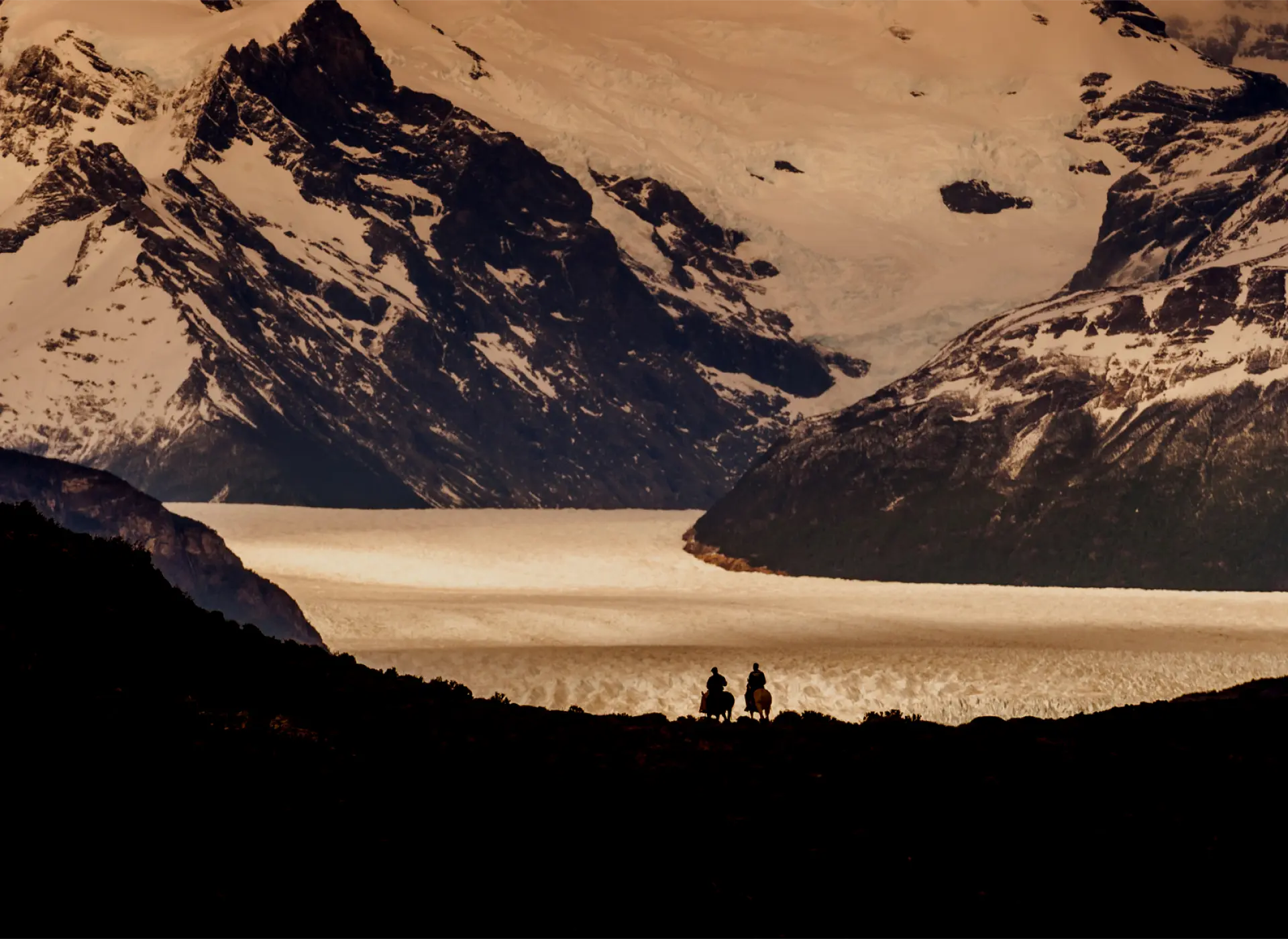 PSA | Header Image | Linassi+Co