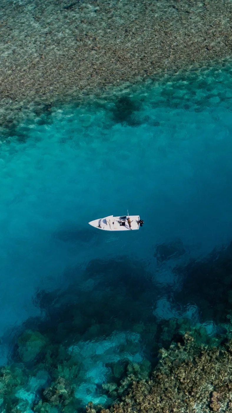 Header Image | Essendi | Linassi+Co