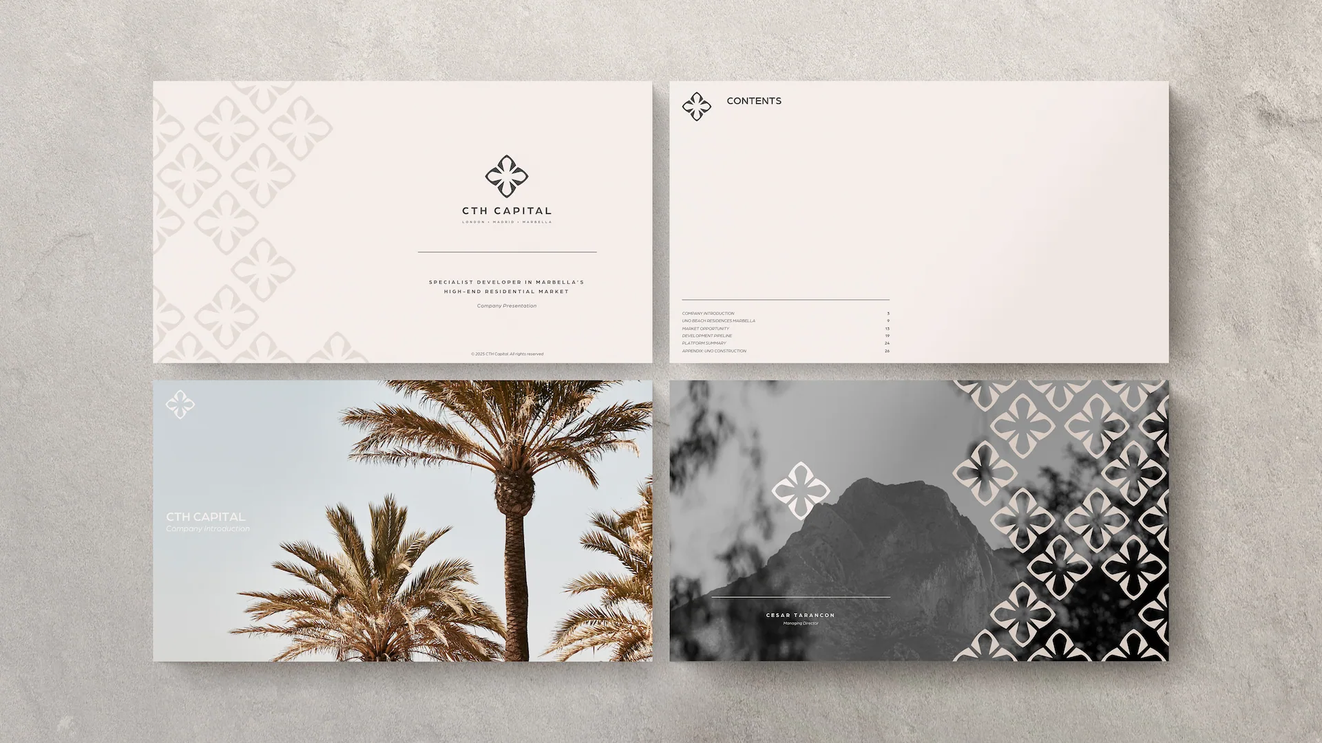 CTH | Corporate presentation | Linassi+Co