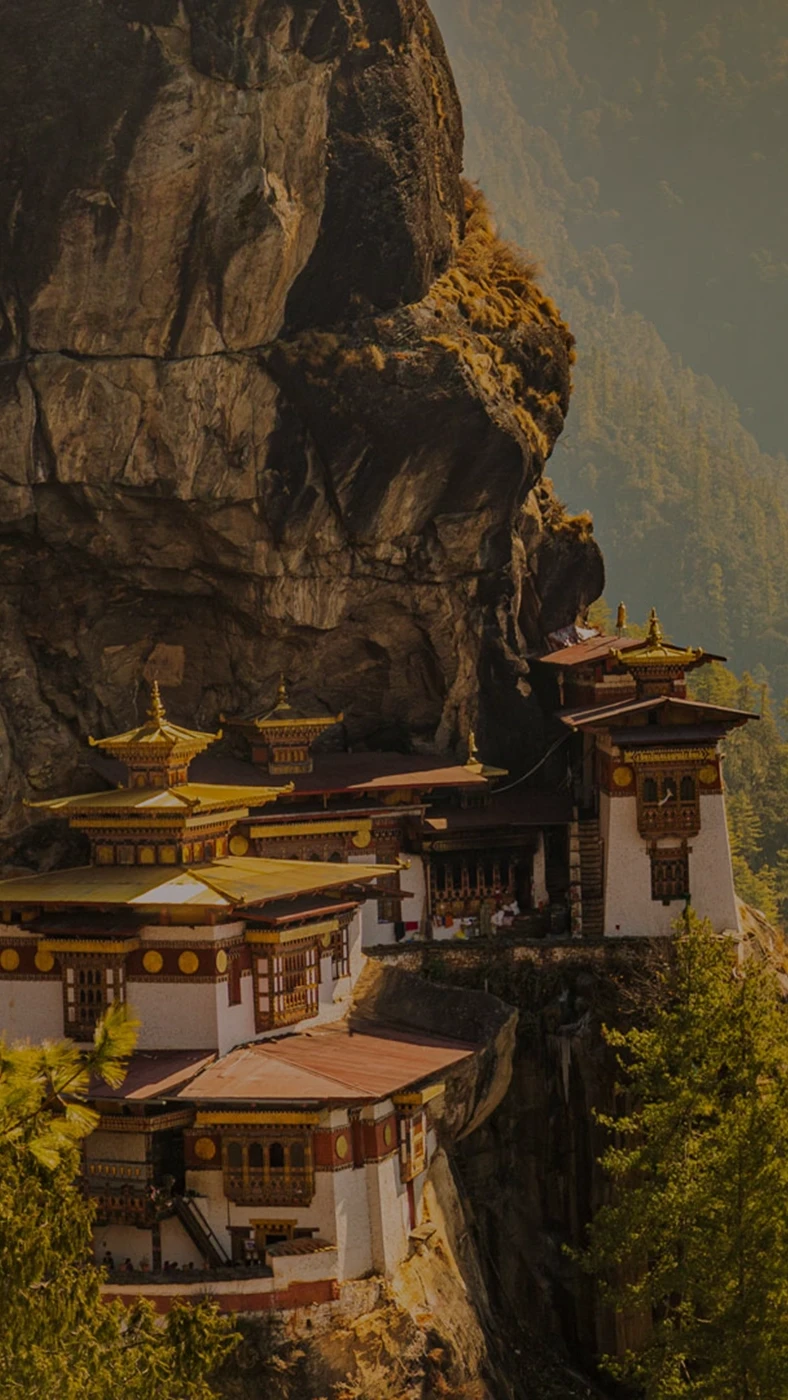 TUTC | Featured Image | Linassi+Co