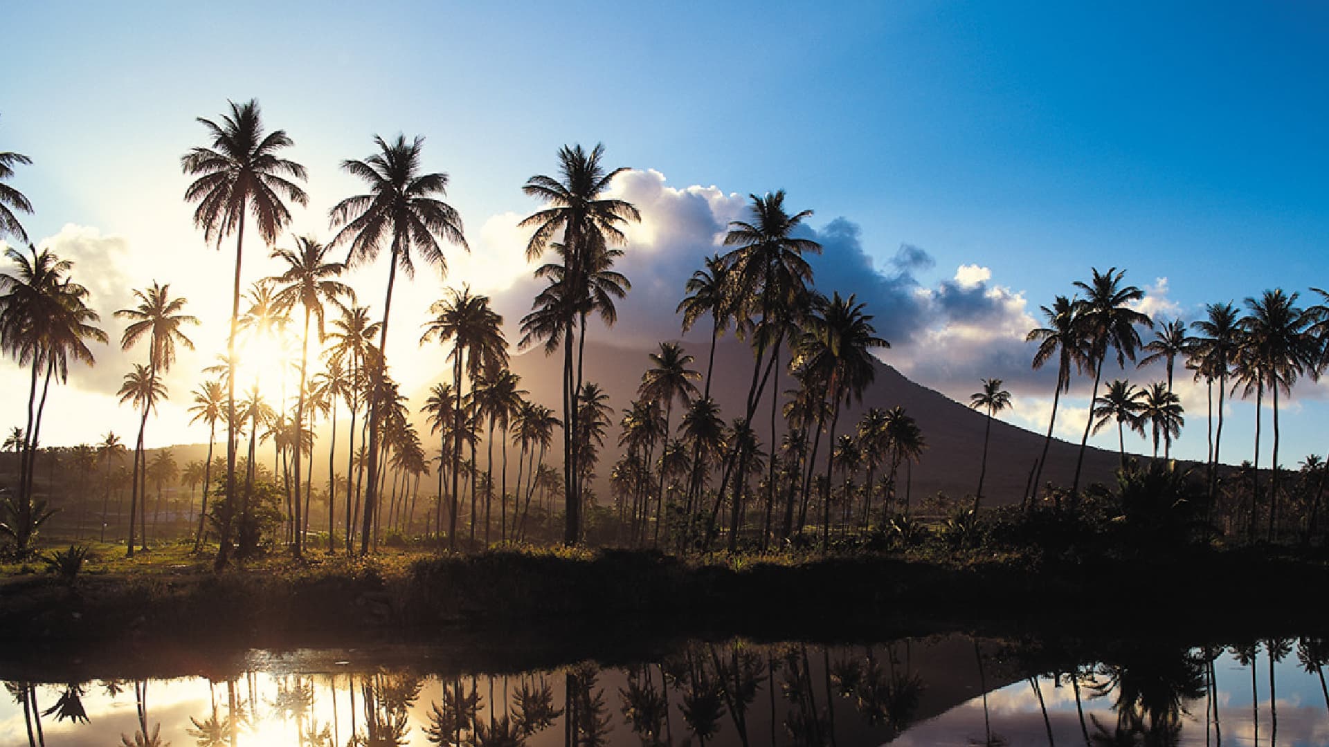 LinassiCo | Four Seasons | Nevis