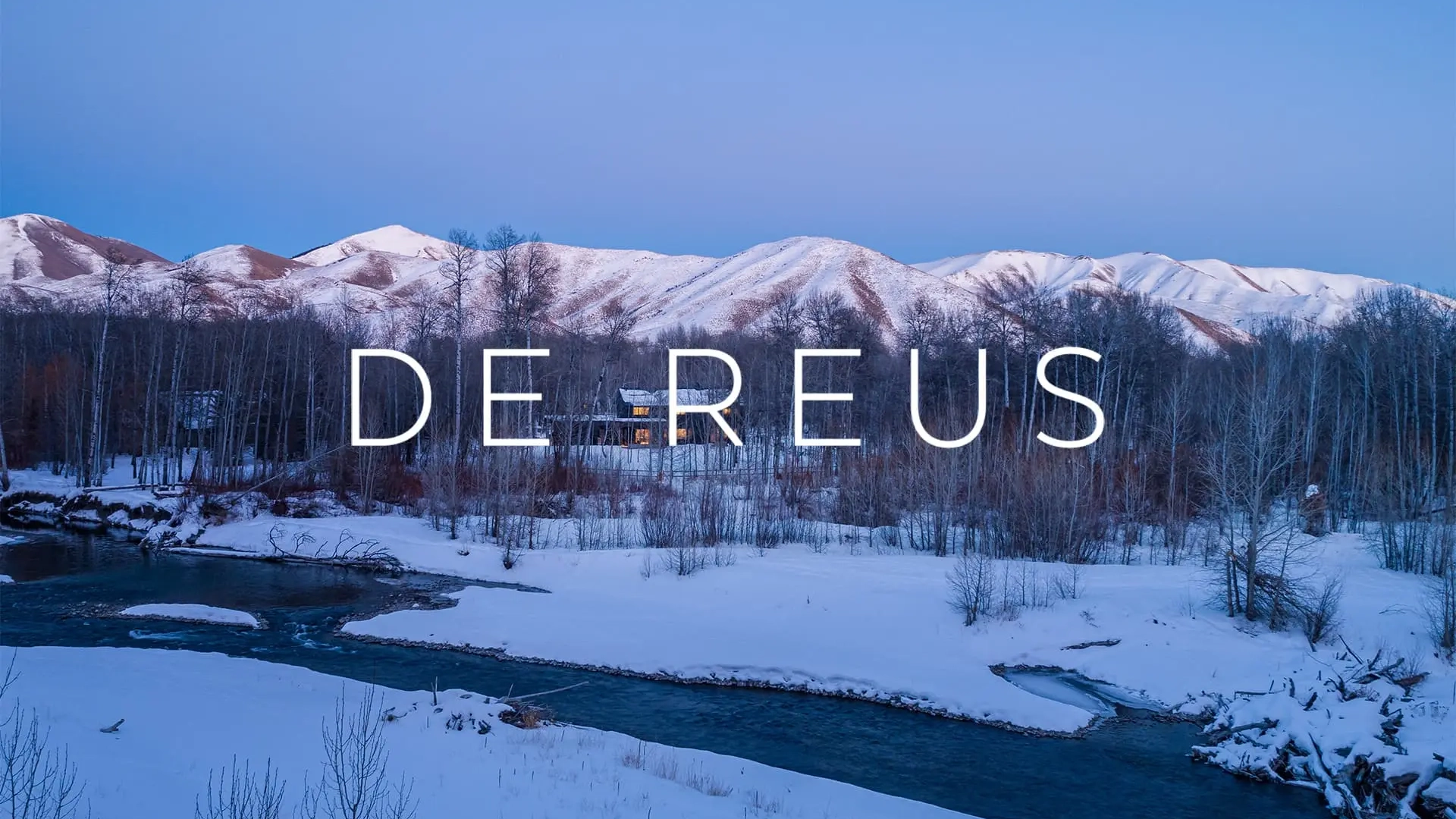 LinassiCo | De Reus | Logo