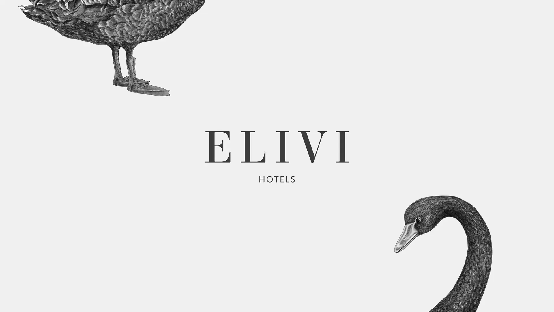 LinassiCo | Elivi | Logo