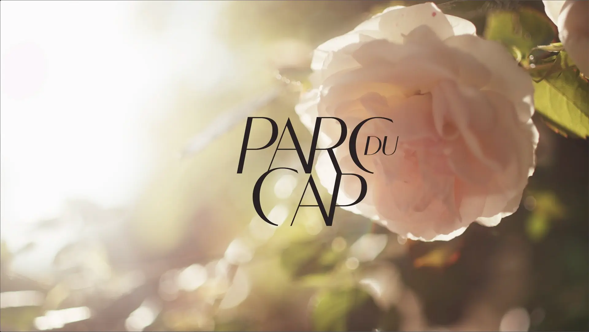 LinassiCo | Park du Cap | Logo