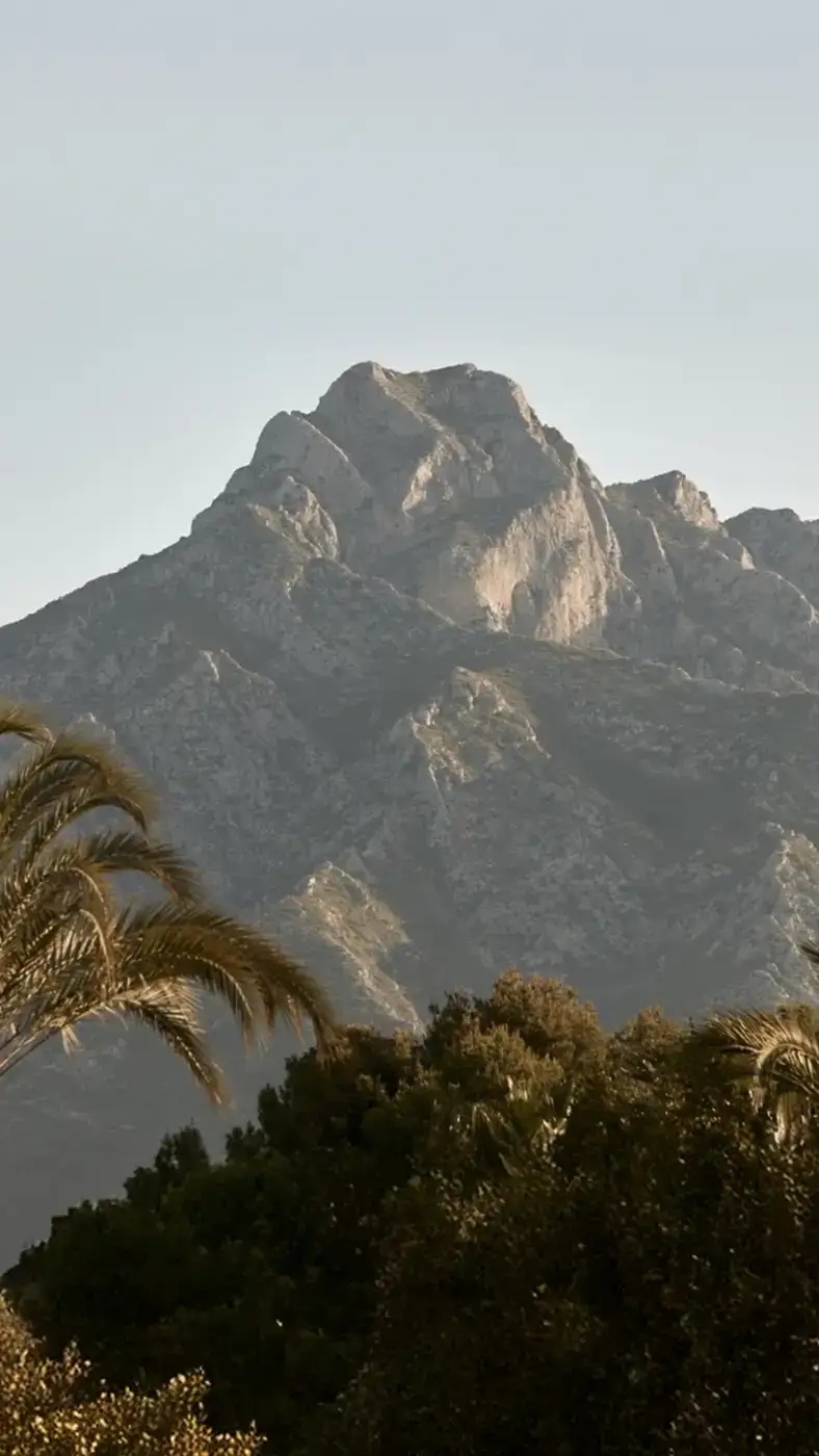 Uno Marbella | Header Image | Linassi+Co