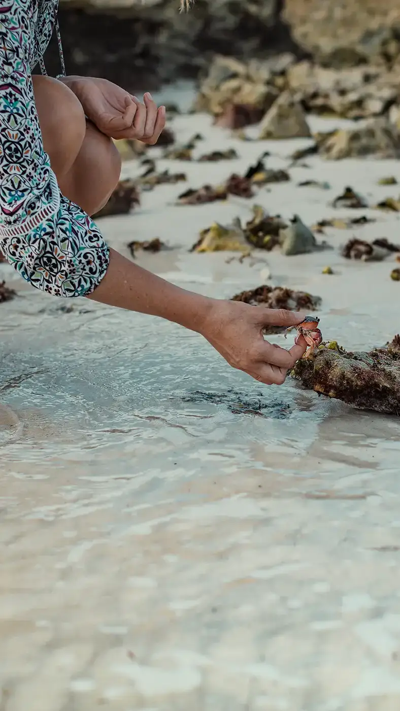 Header Image | South Bank | Linassi+Co