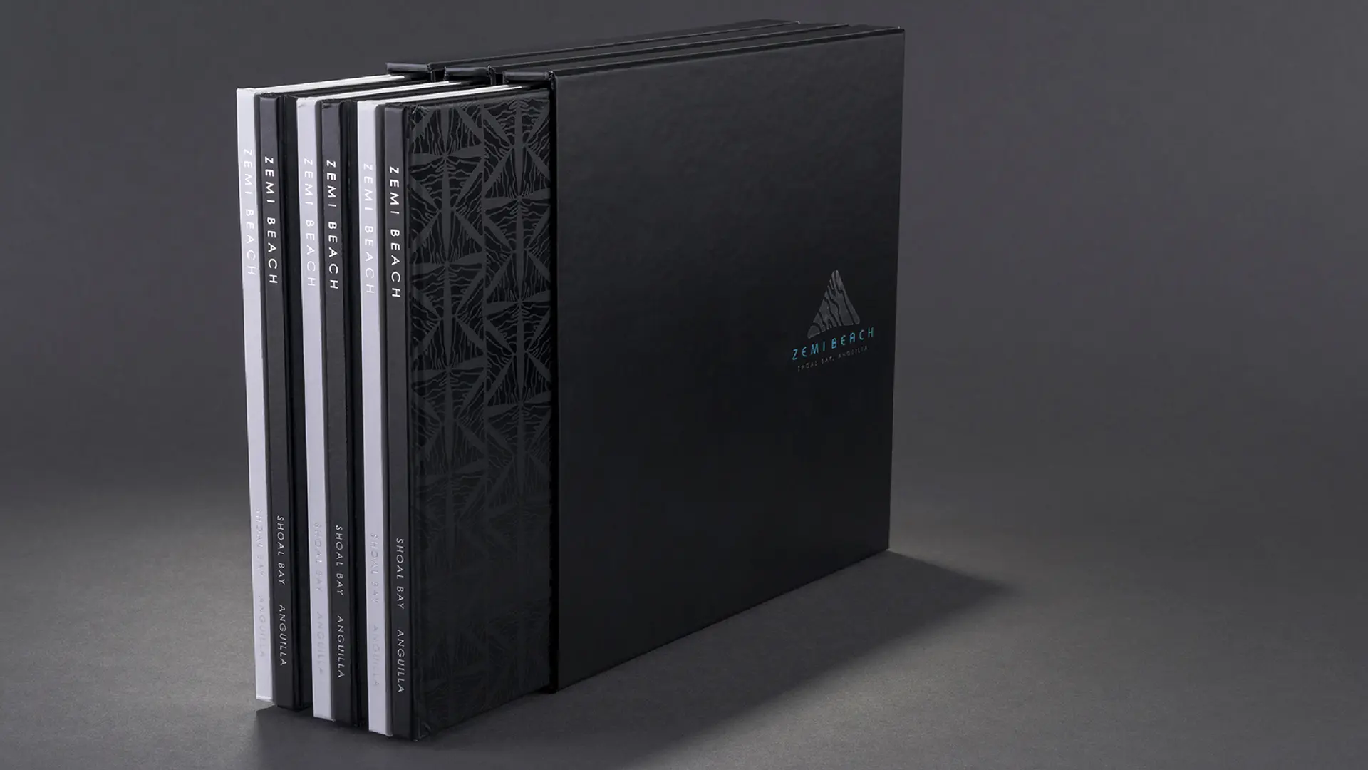 LinassiCo | Zemi Beach | Books