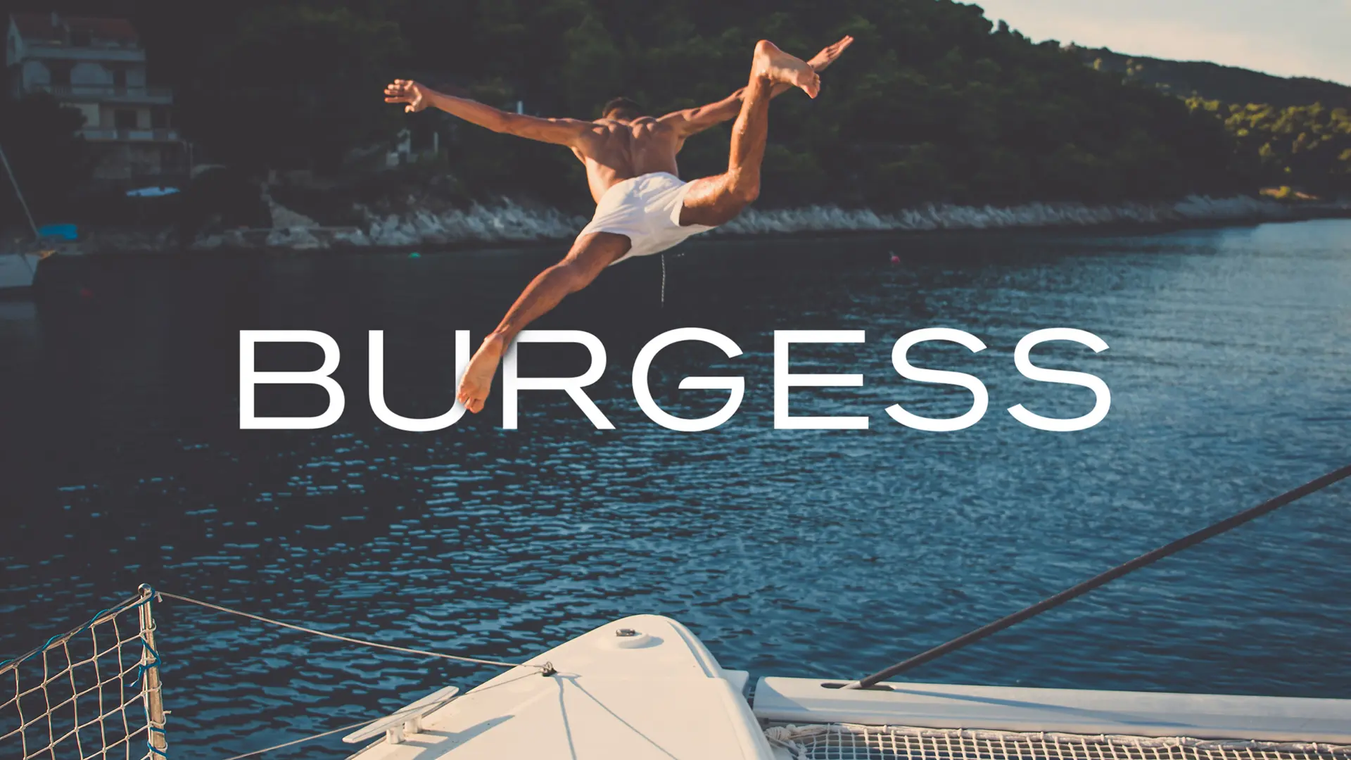 LinassiCo | Burgess | Logo