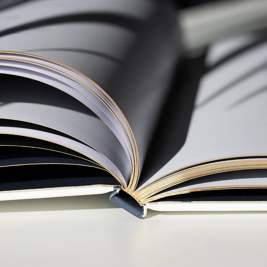 Le Provencal | brochure pages detail | Linassi+co