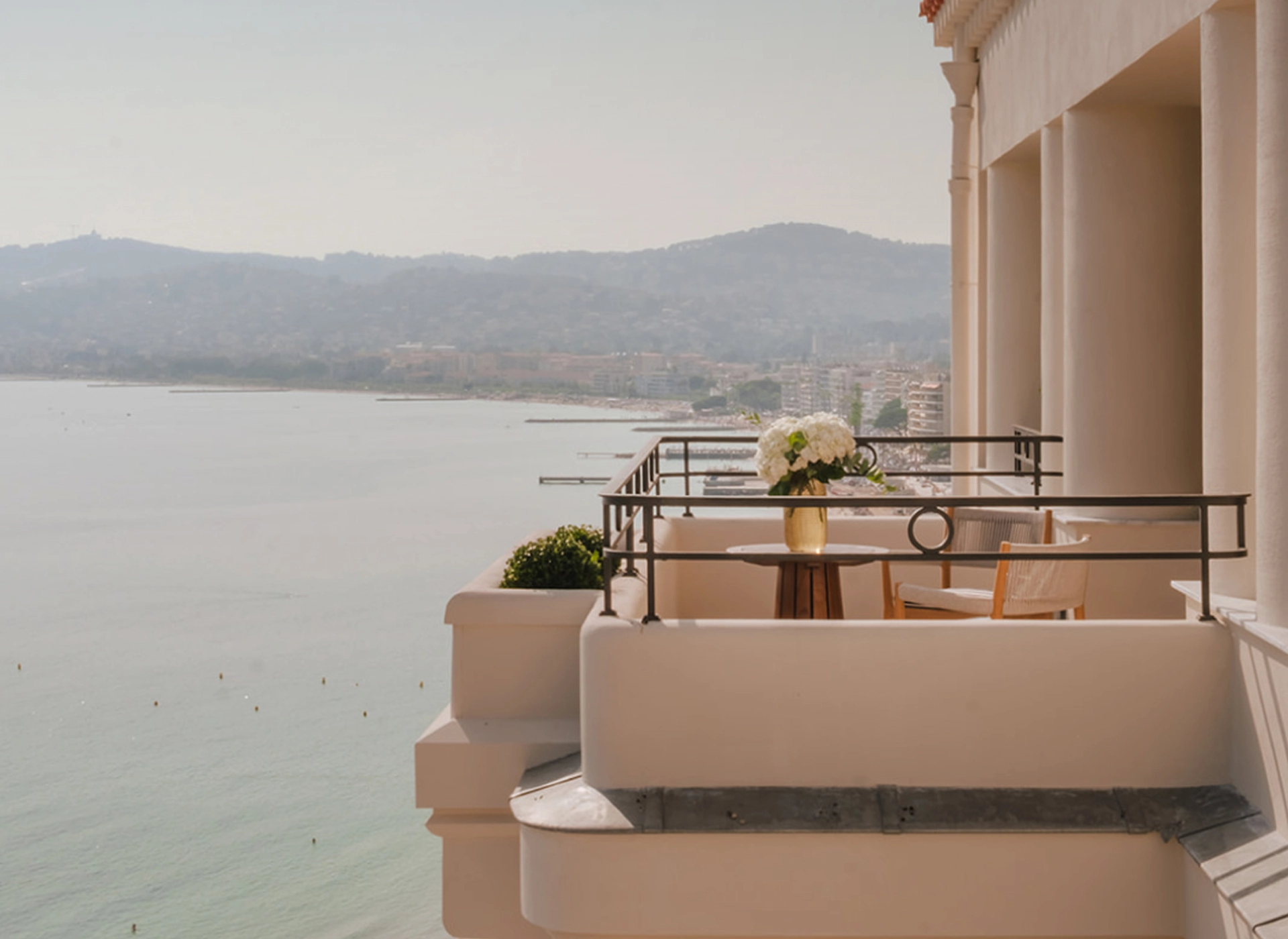 Le Provençal | Header | Linassi+Co