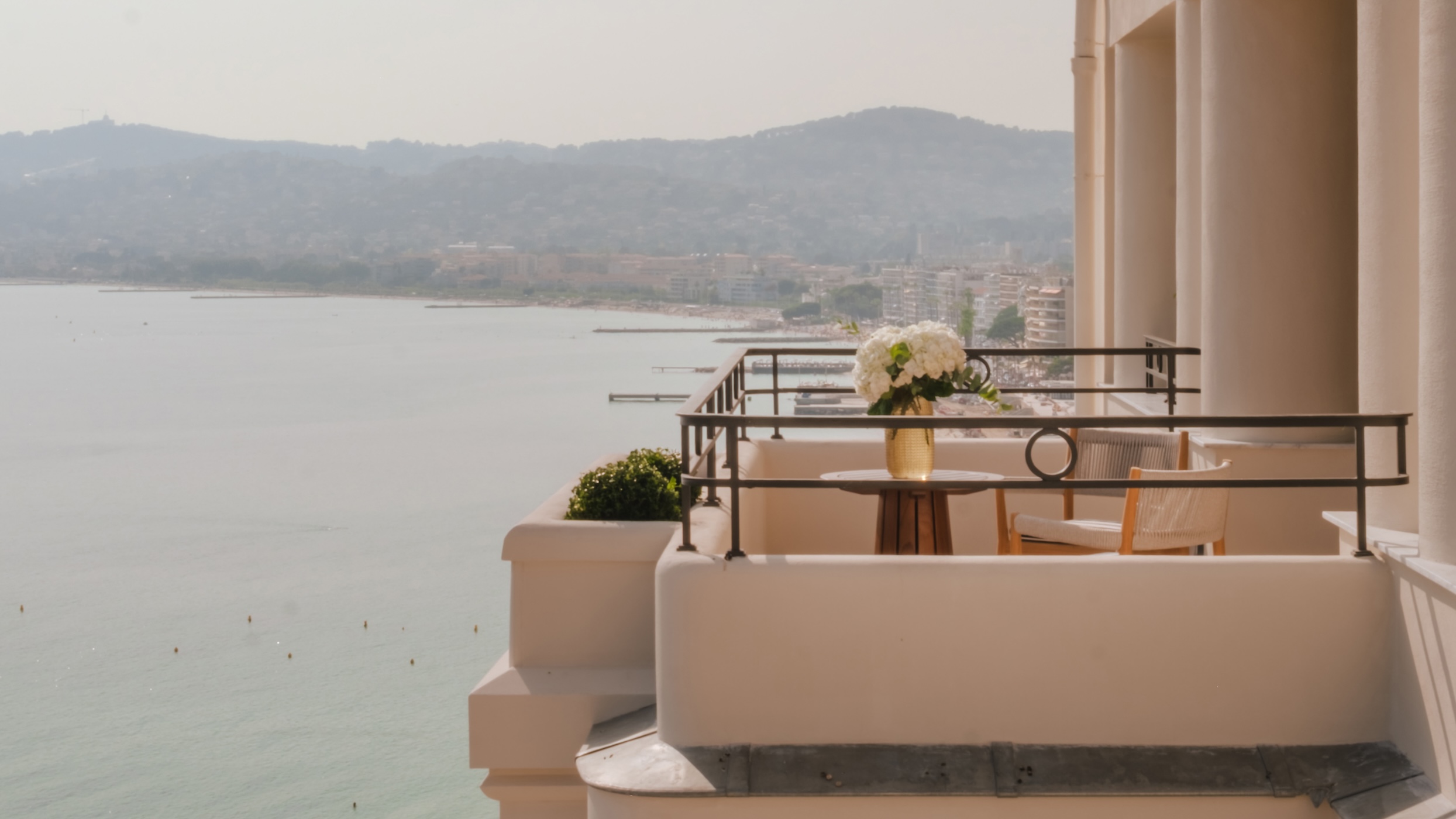 Le Provençal | Header | Linassi+Co